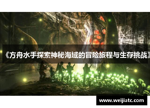 《方舟水手探索神秘海域的冒险旅程与生存挑战》
